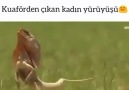 Kuaförden çıkan kadın yürüşü )