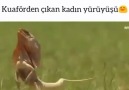 Kuaförden çıkan kadın yürüşü )