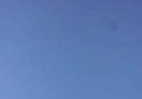 Küçük bir örnek dönek guvercin e