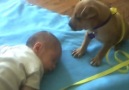 küçük köpek ve minik bir bebek