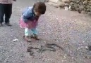 Küçük Kürt Kızının Yılanlarla Oyunu!
