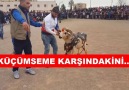 KÜÇÜMSEME KARŞINDAKİNİ...