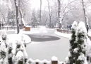 Kuğulu Park karda bir başka güzel...