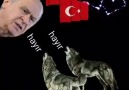 Kulak ver Bahçeli