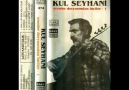 Kul Seyhani -Ali sevilmezmi