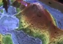 Kuma ışık yansıtılarak yapılan izohips harita