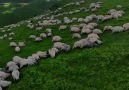 KÜMBET YAYLASI - Huzur Yaylada ...