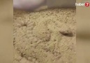 Kumda böyle kamufle oldu