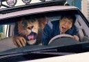 Kung Fu Yoga Trailer #1