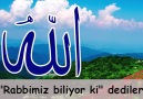 Kuranım cennetim - Şeyh Makıli (Yasin Suresi 2) Facebook