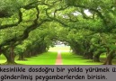 Kuranım cennetim - Yasin Suresi Rahman Suresi Şeyh Faris Abbad Facebook