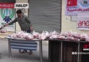 Kurban 2016  HALEP Dağıtım