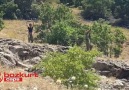 Kürdistan kuracaklardı, kobrayı görünce tomanı sıyırdılar :)