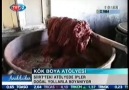 kurtalan kök boya kilimleri