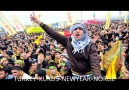 KÜRTÇÜLERDEN NEDEN Mİ NEFRET EDİYORUZ