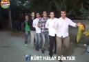 KÜRT HALAY DÜNYASI - DÜNYANIN EN GÜZEL HALAY VİDEO& Facebook