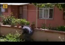 Kurtlar Vadisi Pusu Action v2