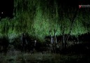 Kurtlar Vadisi Pusu 198. Bölüm Fragman (Full HD)