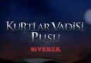 Kurtlar Vadisi Pusu Siverek