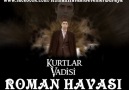 Kurtlar Vadisi - Roman Havası