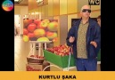 KURTLU ŞAKA