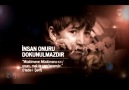 Kutlu Doğum Tanıtım Videosu (Diyanet )