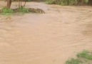 Kuzeytepede taşan nehir Güzelburç Mahallesinde su baskınlarına neden oldu.