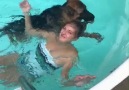 LADbible - Dog Saves &Woman From Pool Facebook