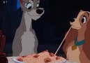 Lady and the Tramp in real life
