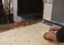 Lahmacun Şhow...!