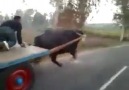 Lamborghininin yeni nesil modeli karşınızda... ) ) )