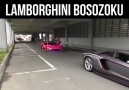 Lamborghinis