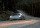 Lamborghini - WRC