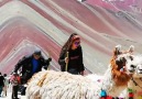La Montaa de 7 Colores en Cusco - Per
