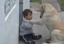 L'amore tra un cane ed un bambino! ^_^