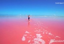 LAS COLORADAS PINK LAKE - Mexico