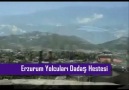 Latif ÖZ ''ERZURUM HESTESİYEM'' Mükemmel