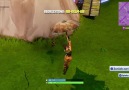 Launch Pad & Dance of the Dead