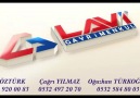 LAVİ