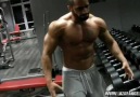 Lazar Angelov Arms Workout