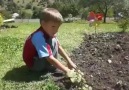 Laz Uşagundan Harika Yorum Mutlaka Dinlemelisiniz