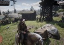 Leaked Red Dead Redemption 2 Gameplay (20 secs)YouTube