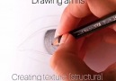 Learn how to draw an Iris silviemahdalart