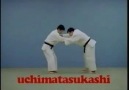 Learn Judo in 26 seconds HAHA