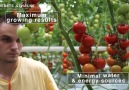 Learn more about the greenhouse projects of Debets Schalke