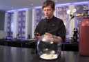 Levitating Biosphere by  Ben Roche at Moto Restaurant