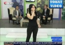 leyla Barut   sacların sarıya