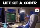 Life Of A Coder...