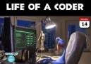 Life of a coder D