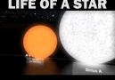 Life of a Star!